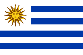 Imagen Bandera